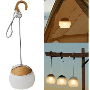 ^ LED^ 3Fؑ dF 3600mAh USB [degCg ^ F/gF𒷉Đ؂ւ܂  AEghAgуLvpi/} h dp Lv^ (1)