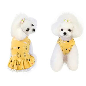  hX  XJ[g  s[X Plm t H  ^ ^ hbOEFA L LOBe ybg ʋC o ۂ̐Ԃ̃p^[ (CG[, Ly{o