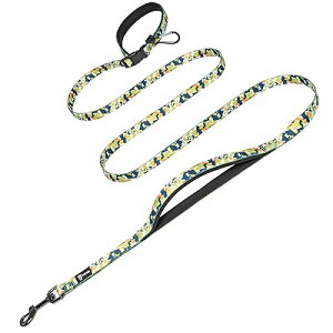 nYt[p[h ߉\ȎUEjOp SRg[pbhnht dNXv ^p(ʃO[,S)