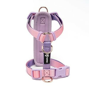 yʂŌ̈h~錢pn[lXAOf[V\ȌpxXg^n[lXANCbN[XobNtAʋCϋvɗDAU܂͌PpɎgpł