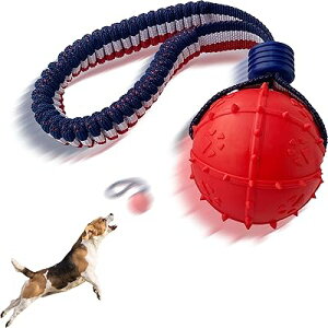 2025N̐V ybg{[Ap{[A[vtጢp{[AybgC^NeBuA[vp{[A邨{[A^E^E 