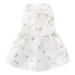   t  s[X [X zCg  vZX   ؂₩ Pl ̕ ėp Ȃ  ʋC  EFfBOhX m Eѕی Ăh z  