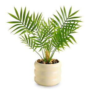 G} tFCNO[ ~jϗtA MъϗtA `oVZ~bNގی^  ϗtA tFCN t ȃCeAG bsv sv ցEItBXEz