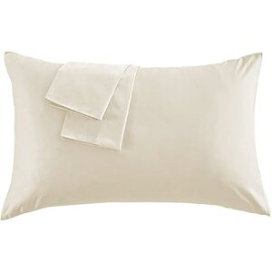 Jo[ ㎿Ȗ100 300{xn zei _̂悤ɏ_炩ȎG肪  h_j R hL Iׂ9F 3TCY (x[W, 43×63cm)