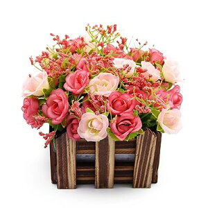 ~j_C[o lHϗtA  G} tFCNO[ CeA Mtg j (ԍ(), sN)