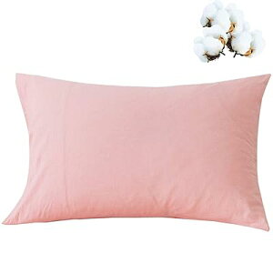 Jo[ 100 s[P[X 48*74p  7FI ʗpTCY  Q ʋC R hL  F sN CgO[ CgO[ R[q[F fju[ Cgu[