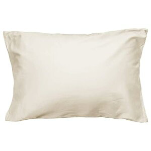 Jo[ 100 TeD 300{xn h_j R hL zei  炩 _炩 s[P[X Iׂ9F 4TCY n x[W 43×63cm