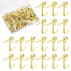 ピンフック 100個セット(100フック+100針先)石膏ボード・ベニヤ・木用フック 耐荷重13kg 壁掛けフック 石膏ボード ピン 画鋲 フック 石膏ボード 写真 油絵フック 壁掛け用フック 収納ケース