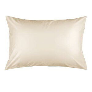 Jo[ 35 50 100 TeD 300{x 򂪂  s[P[X Iׂ7F F򂹂ɂ zei 炩 _炩 35×50cm AC{[