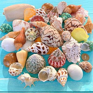 Jt Lk A\[g Zbg VRf ~bNX r[` VF ӏܗp   X  r[` W DIYp WG[ ANZT[p[c |pi