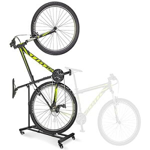 ] X^h cuy360°]LX^[E]ԌԎ[Ec/upz[hoC