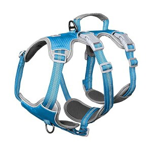 pn[lX p n[lX^ ֏^ Lp n[lX h~ Ȃ bV h TCY\ 锽 U g[jOiSAu[j