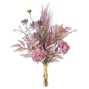 tFCNt[  1 u[P ԑ OB  Vv Ƃ̑ Mtg sN