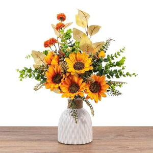  CeA ԕrt   ԕrZbg (Ђ܂ԑAIԕr) IW