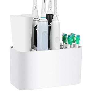 V[pduVz_[ vX`bNuVI[KiCU[ S/JE^[