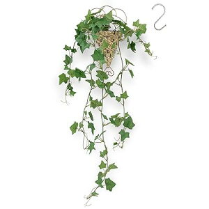 tFCNO[ ݂艺 Ǌ| ZbgyIVȃoXPbgtzS80cm lH 