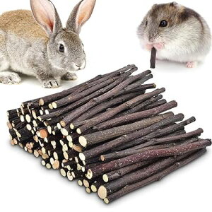 񂲎} 񂲂̖  ނ F Y VR ɍ׎}   P