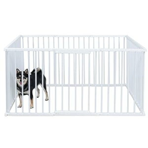 ybgT[N ^ 68cm ybgtFX ybgP[W  T[N P[W RpNg pT[N   gȒP Hsv A\ (WHITE, 68CM, 10)