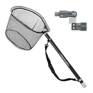 fBOlbg ^ ʖԃZbg ^WCg 9iK Lk J[{ pʂ̕ fBO|[ ʃZbg Cނ  y gѕ֗ W/Cp 3M/5M/6M (5Mʕ+^