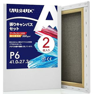 綿化繊混紡 張りキャンバス P6 (41.0cmX27.3cm) 2枚 - 中目布? 水彩画・油絵画・アクリル兼用 - モダンアート・ポップアートに最適
