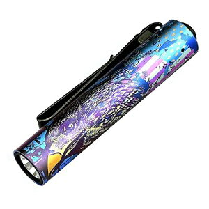 Rider RX 2.0 EDC d LED POdrɑΉ 1000[ ^ y  tbVCg IP68