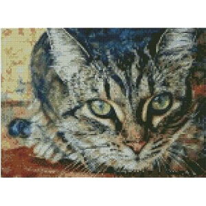 I see you,cat counted cross stitch kits 14 ct, ܂,L NXXeb`Lbg150x110 |CgA37x20cm NXXeb`