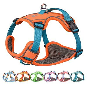  n[lX ^n[lX ^n[lX ^n[lX p  hbOEGA h~ Ԕ p \ ȒP  UiIWXSj