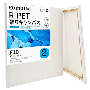 R-PET LoX - F10 (53cmX45.5cm)/2 - 100%TCNvX`bN{g - ɗD ϋv̍ v̉ Gp |pGn G p ʉEGEAN