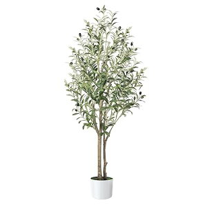 ϗtA y120cmztFCNO[ ^G} C CeA Ƃ̒ɒulHϗtA ̊  bȂ sṽz[  Lb` ItBX I[u t