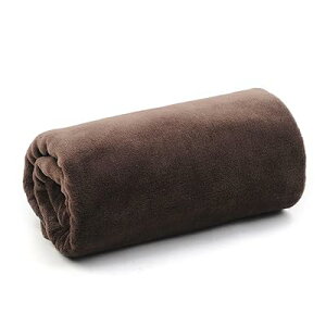 膝掛け毛布 大判 ひざ掛け ブランケット 小さめ 車 ハーフケット ひざかけ ミニ 小さい 子供 フリース あったか 薄くて暖かい 柔らかい肌に優しい 洗える 静電気防止 四季通用 (ブラウン, 140