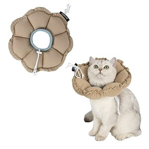 GUxXJ[ Lp p \tg h y p㏝ی rߖh~ ?h~ EHWȂ \ȃAE^[O[݌v J[LF̉Ԃ̌` STCY