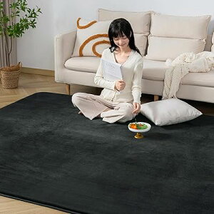 高反発 ラグ 200×300」の人気商品一覧・価格比較 - 価格.com