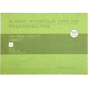 ���ʉ掆 100%�R�b�g�� 300g 16K(260x180mm) 20�� ���� ���_ �v���d�l ��l�A�A�[�e�B�X�g�A�w������