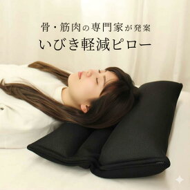 【医学博士発案 いびき軽減ピロー 43X63】枕 いびき いびき防止 横向き いびき対策 横向き寝枕 いびき枕 まくら イビキ 横向き寝用枕 パイプ マクラ 横向き枕 安眠 快眠 洗える 高さ調整 パイプ枕 低め 高め 快眠枕 安眠枕 日本製 肩こり 首こり 女性 楽 ギフト 人気 寝具
