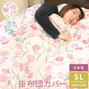 y{z |zcJo[ 100 TCY VOO 150×210cmb|zcJo[ |ӂƂJo[ |ӂƂJo[ |Jo[ |Jo[ zcJo[ ӂƂJo[ zc ӂƂ Jo[ Q