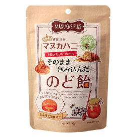 楽天市場 インフルエンザ 飴の通販