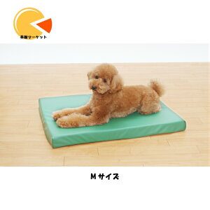 h~Eh}bgXMTCY h}bg@}bgX@ht@{@g{Ё@n[lX@