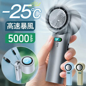 5000mAh大容量【2,780円・先着100名】 ハンディファン 冷却プレート -25℃冷却 携帯扇風機 100段階風量 高速暴風 ハンディ扇風機 首掛け 冷却プレート 扇風機 手持ち扇風機 ハンディ ファン 卓上扇風機 24時間持続 ミニ扇風機 首掛け ネッククーラー