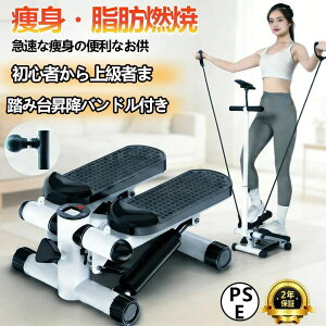 ステッパー ハンドル付き」の人気商品一覧・価格比較 - 価格.com