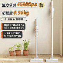 楽天市場】ハンディークリーナー 壁掛け 充電の通販