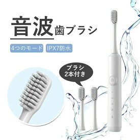 電動歯ブラシ 替えブラシ2本付き 音波式歯ブラシ 超音波電動はぶらし キッズ歯ブラシ 円型毛先 2分自動定時 IPX7防水 30日使用可能 4モード 高品質ブラシ メモリー機能 タイマー機能搭載 USB充電 口臭予防