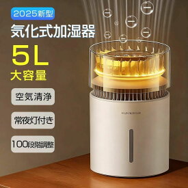 加湿器大容量 超音波加湿器 タイマー 静音 コンパクト LEDライト付 抗菌 強力加湿 卓上 保湿 3L 銀イオン おしゃれ ウイルス対策 乾燥対策 花粉 節電 エコ