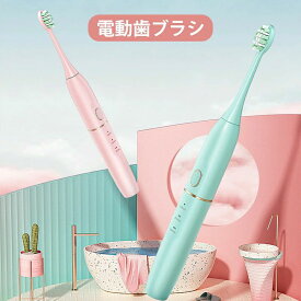 電動歯ブラシ 音波式歯ブラシ 歯ブラシ 替えブラシ3本 IPX8防水 タイマー機能搭載 ワイヤレス 充電 電動ハブラシ 歯ぶらし 歯垢除去 本体 4つモード はみがき はぶらし 電動歯ぶらし ハブラシ 家族 大人/子供