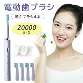電動歯ブラシ 歯ブラシ 替えブラシ4本 IPX7防水 20 000回/分 タイマー機能搭載 ワイヤレス 充電 電動ハブラシ 歯ぶらし 歯垢除去 本体 はみがき はぶらし 電動歯ぶらし ハブラシ 家族 大人/子供 パー