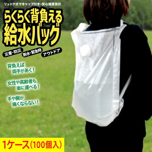 Ɩp1P[X100 炭炭w鋋obO 6L^bN^EH[^[obO Sx̓d\݌v Lbvt ЊQ hЃObY p  AEghA Lv f  