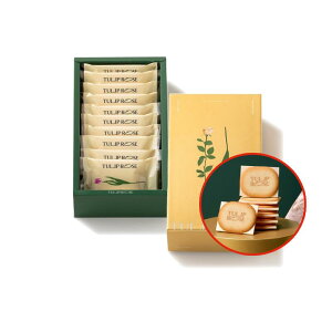 `[bv[Y O`[YVRTh 10TOKYO TULIP ROSE @ăMtg@yY Mtg@v[g@yY@蕨@@ Ԃ XC[c َq@ v`Mt