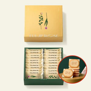 `[bv[Y O`[YVRTh 20TOKYO TULIP ROSE @ăMtg@yY Mtg@v[g@yY@蕨@@ Ԃ XC[c َq@ v`Mt