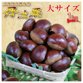 【期間限定】栗の王様【丹波栗】　大サイズ（兵庫・京都産）1kg入り★ランキング入賞