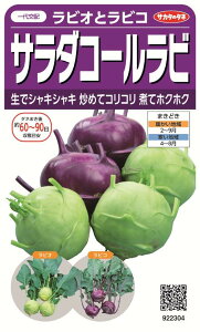 ꗥi܂ށjTJ^̃^l 烉rIƃrR T_R[r5܁2850@5܂̍̕c{ 360{t܂EH܂