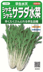 TJ^̃^l 獑ꗥi܂ށjuVvVLVLT_5܁1850@5܂̍̕c{ 4900{t܂EH܂